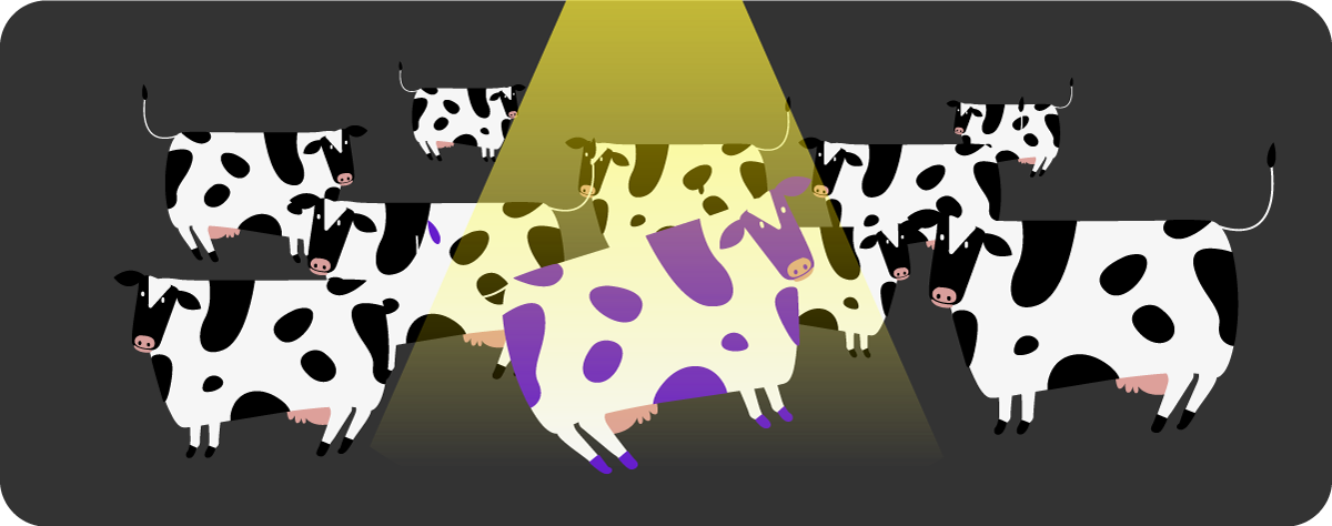 cows2